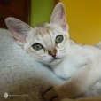 Asiatica-Baby-2017-April-29-DSCF8184