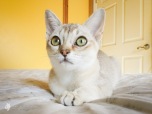 Asiatica-Baby-2018-February-05-DSCF0936